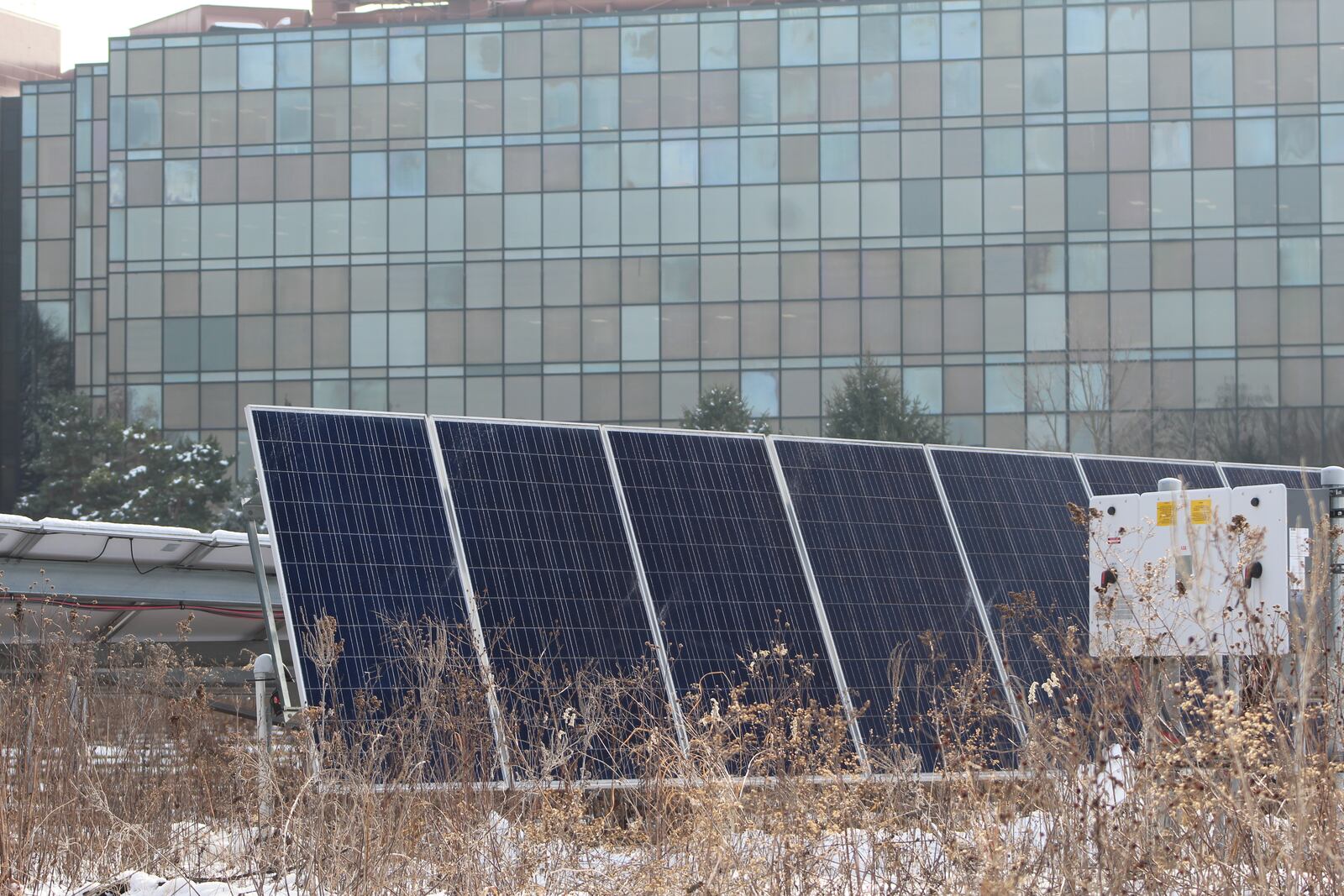 The solar prairie at Daniel J. Curran Place at 1700 S. Patterson Blvd. in Dayton. Curran Place and an array on Fitz Hall produce about 2% of the University of Dayton's power. CORNELIUS FROLIK / STAFF