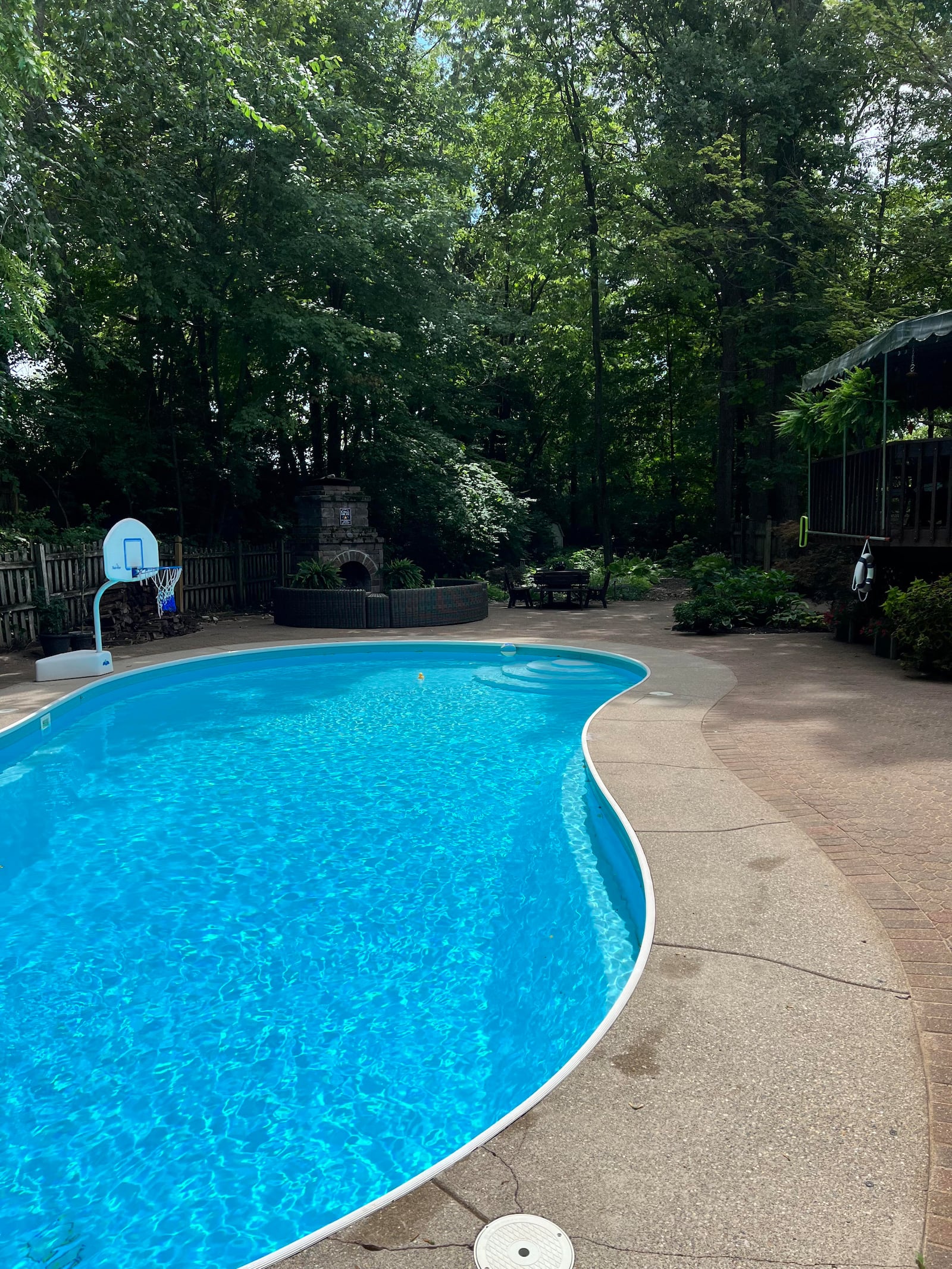 The Millards' backyard pool has been a cornerstone for many wonderful summer memories. Contributed by Steve Millard