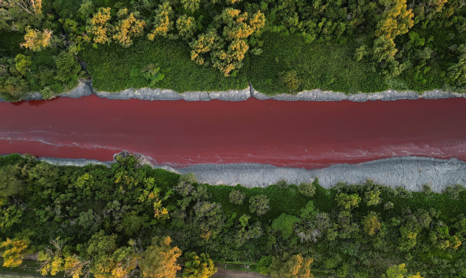 An aerial view of the "Sarandi" stream dyed red due to unknown contaminants allege residents, in an industrial neighborhood on the outskirts of Buenos Aires, Argentina, Thursday, Feb. 6, 2025. (AP Photo/Rodrigo Abd)