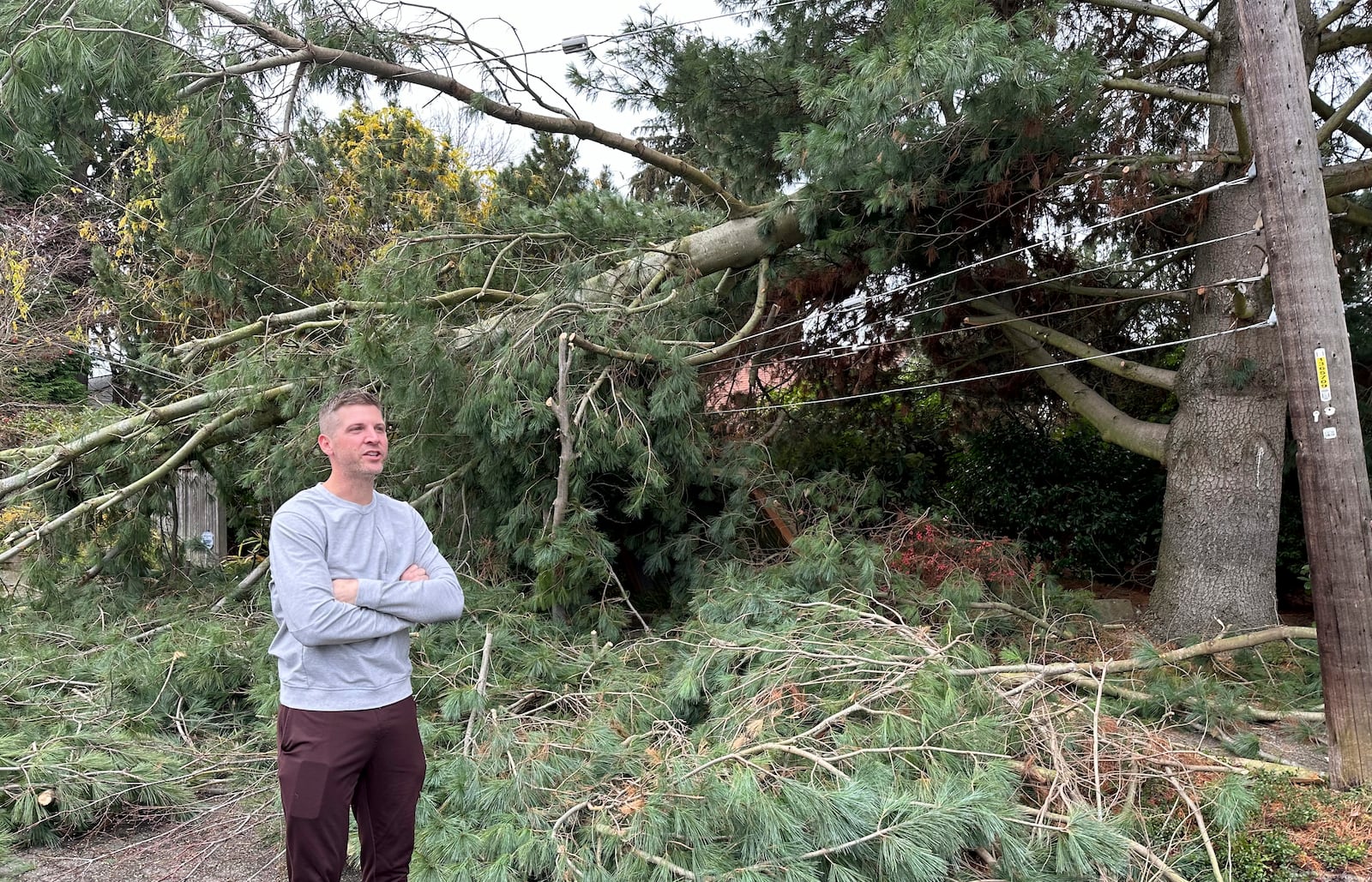 Brett Gordon of Seattle talks with a neighbor as he stands near a large branch sheared off from a tree during Tuesday night's "bomb cyclone," weighing down power lines in the Wedgwood neighborhood of Seattle, Wednesday, Nov. 20, 2024. (AP Photo/Gary Roundtree)