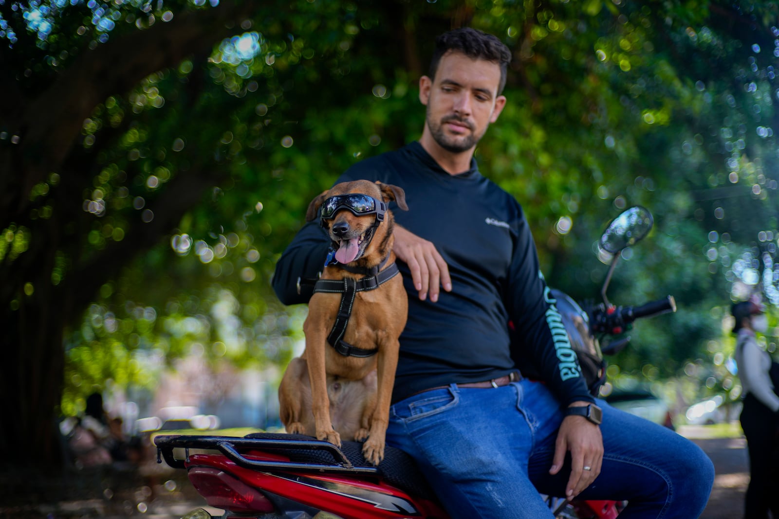 Rescued dog Koffee sits on the motorcycle next to his new caretaker Leandro Valdes during an interview in Havana, Cuba, Friday, Oct. 4, 2024. (AP Photo/Ramon Espinosa)