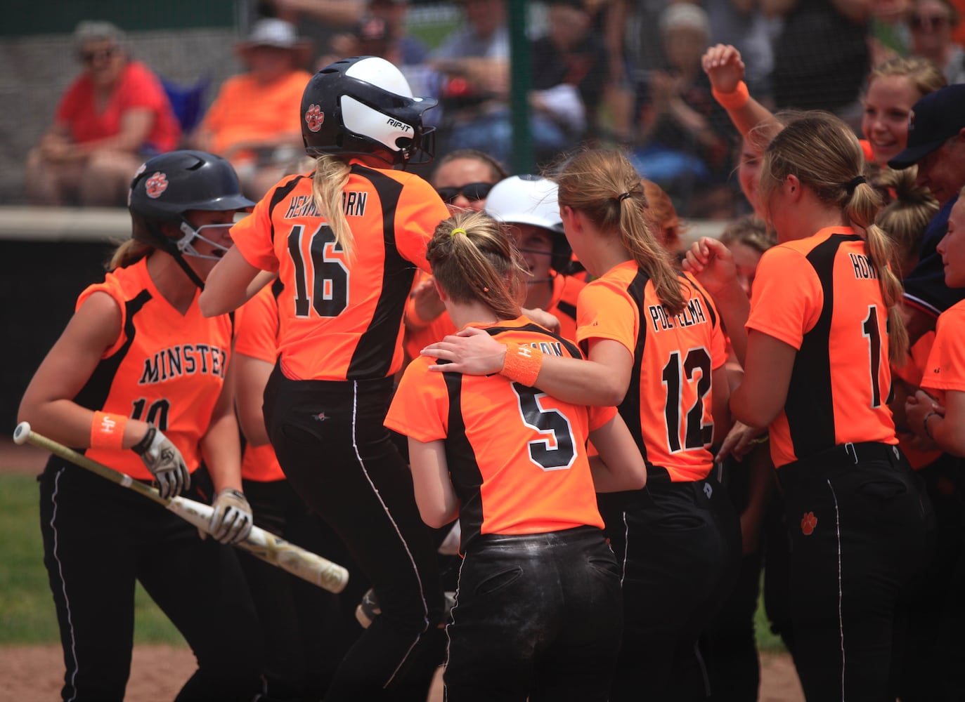 Photos: Mechanicsburg beats Minster in D-IV softball regional final