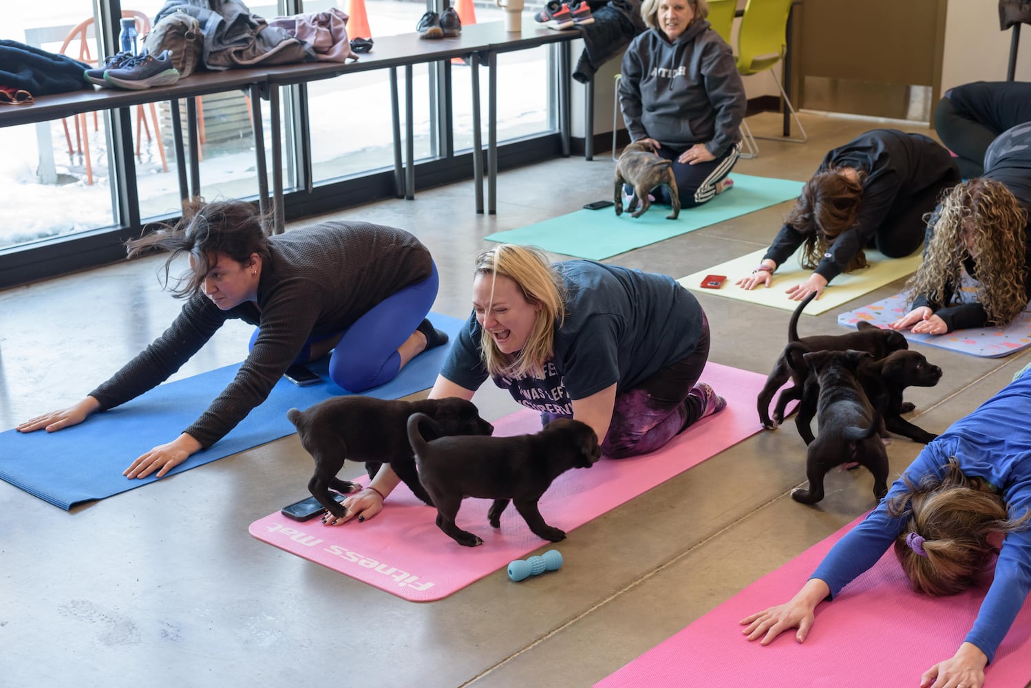 PHOTOS: Puppy Yoga at SICSA Pet Adoption and Wellness Center