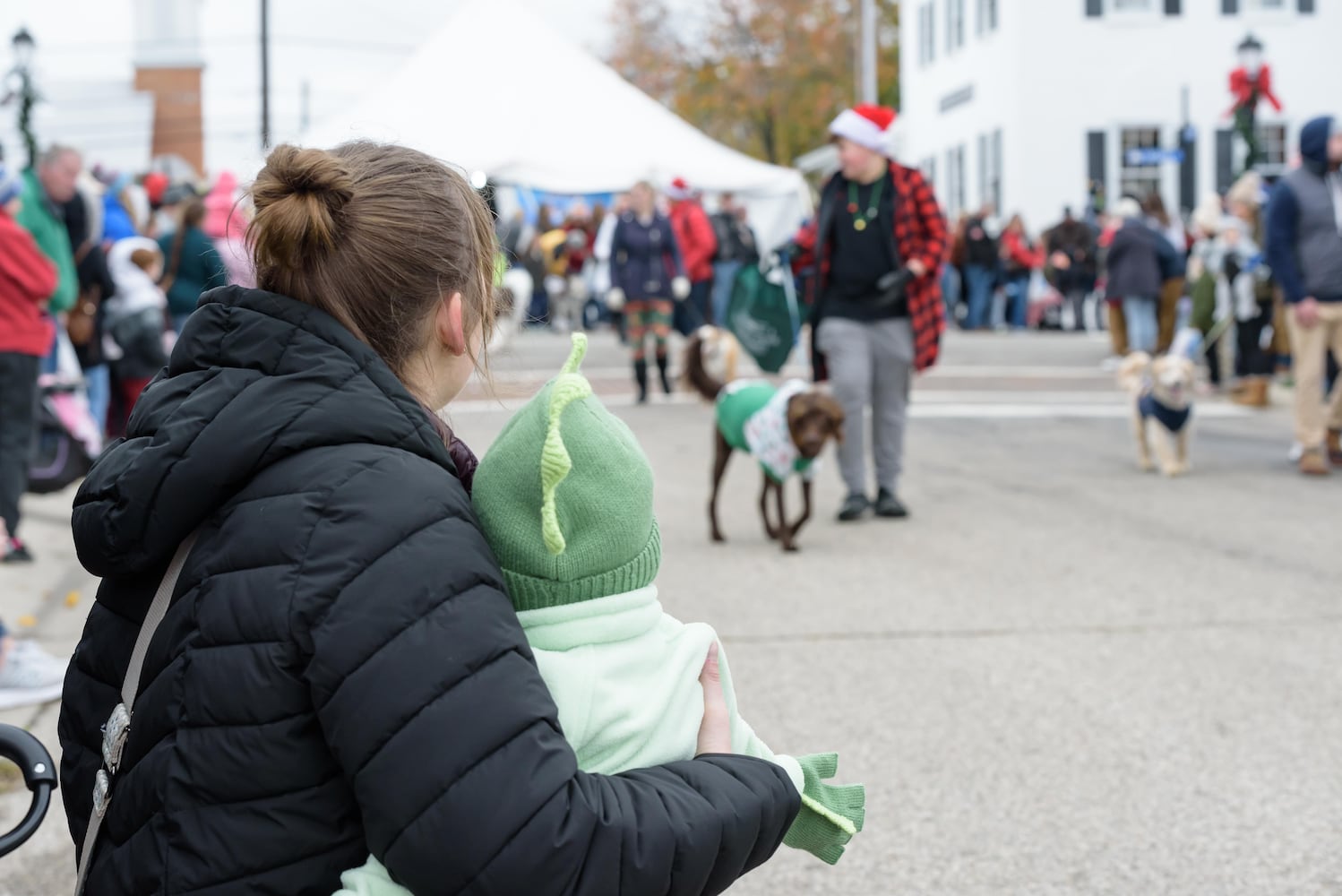 PHOTOS: 2024 Christmas in Historic Springboro Parade & Festival