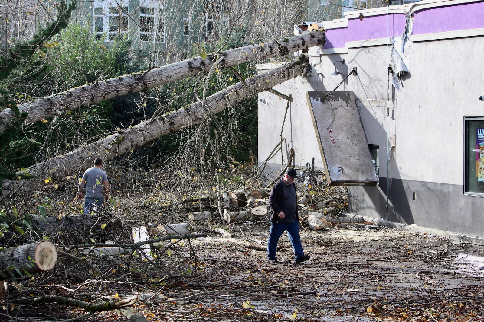 A crew cuts a tree that fell on a Taco Bell restaurant on Wednesday, Nov. 20, 2024, in Issaquah, Wash., after a "bomb cyclone" storm brought high winds to the area. (AP Photo/Manuel Valdes)