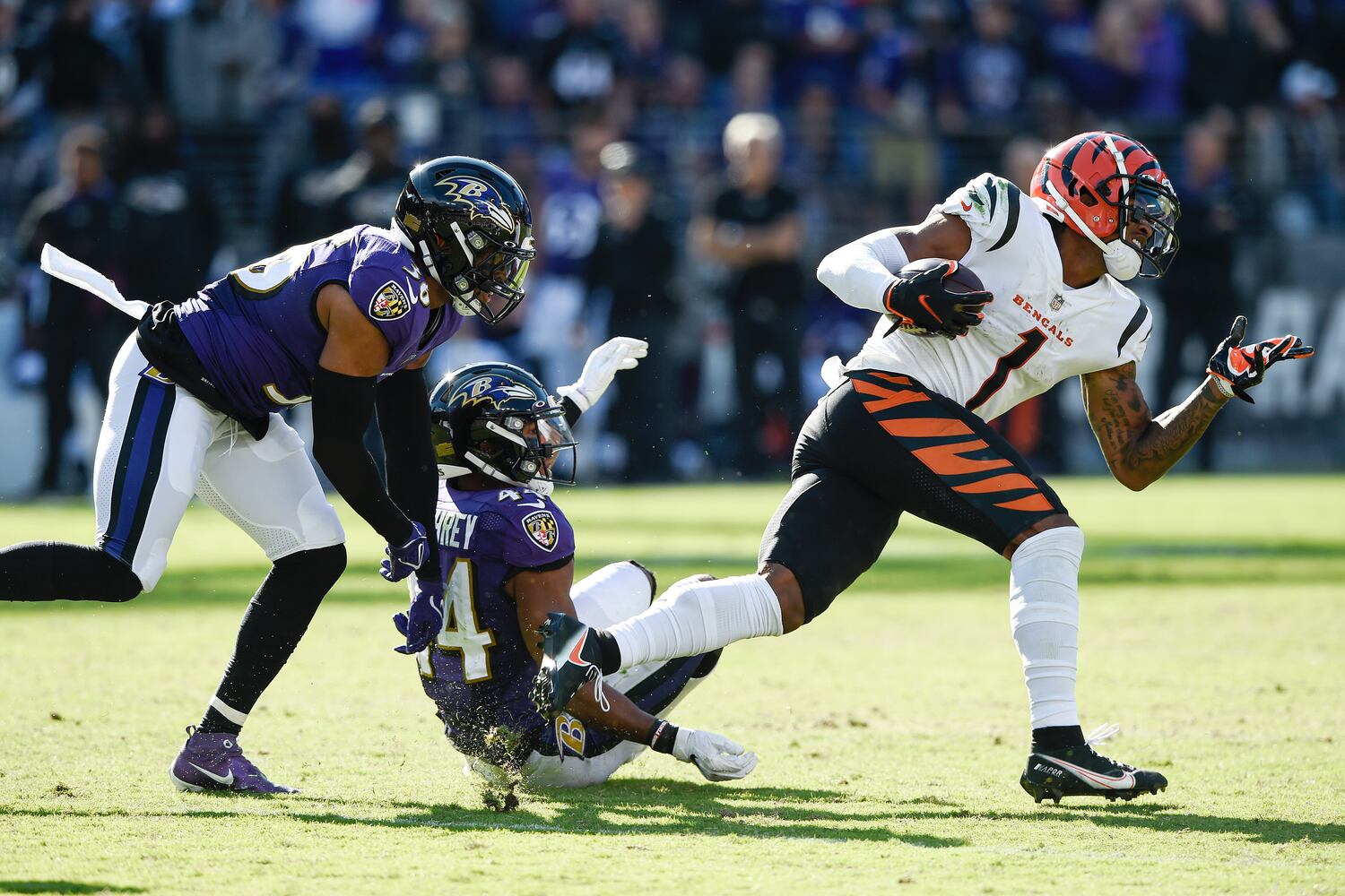 Bengals Ravens Football