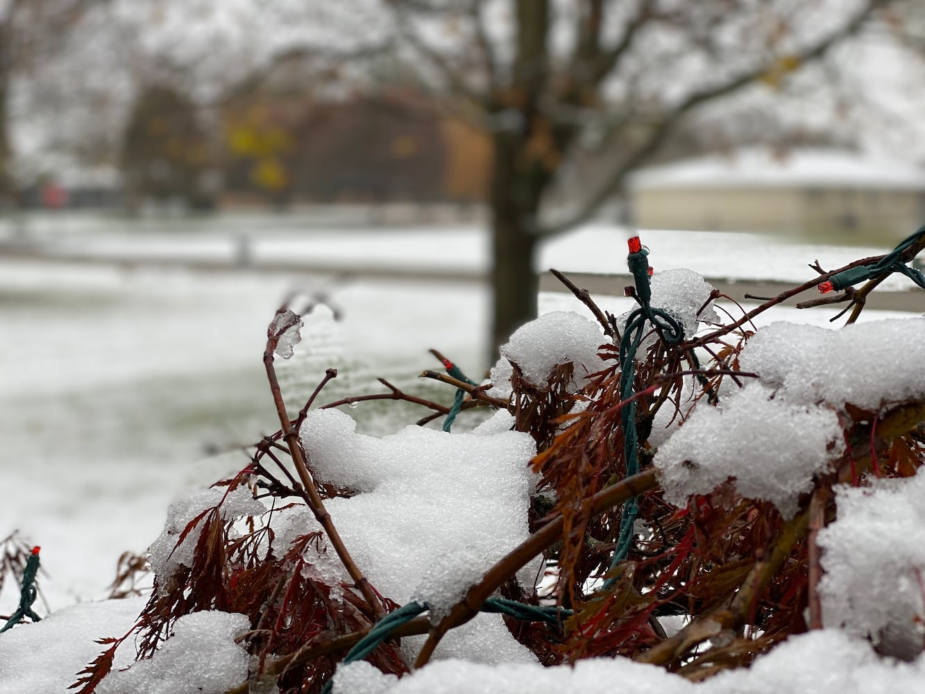 First snowfall of the season