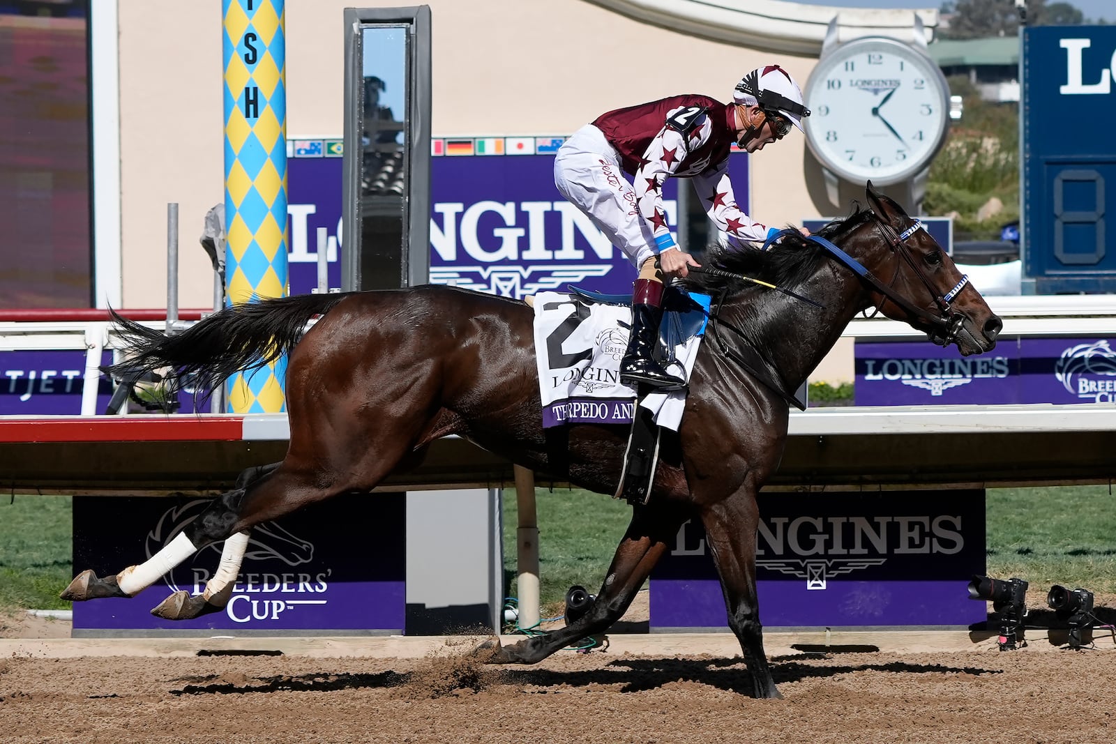 Brian Hernandez Jr. reacts as he rides Thorpedo Anna to victory in the Breeders' Cup Distaff horse race in Del Mar, Calif., Saturday, Nov. 2, 2024. (AP Photo/Gregory Bull)