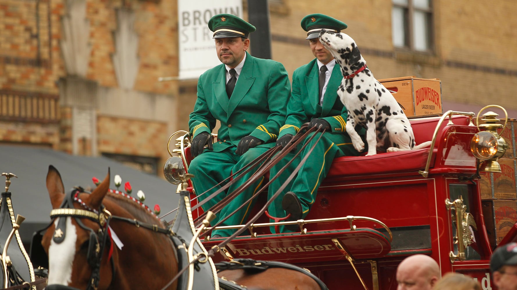 PHOTOS: The Budweiser Clydesdales are in Dayton