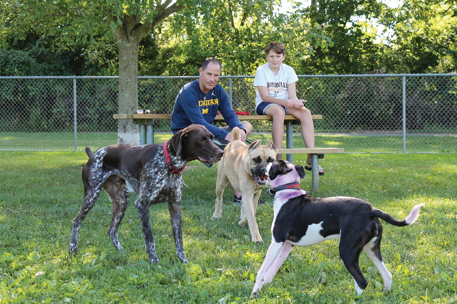 Dogs and owners enjoy a visit to Oak Grove Dog Park last summer. Parks officials say that dogs aren't the only ones who make new friends. Their human companions often meet others and bond over their common love of dogs. CONTRIBUTED