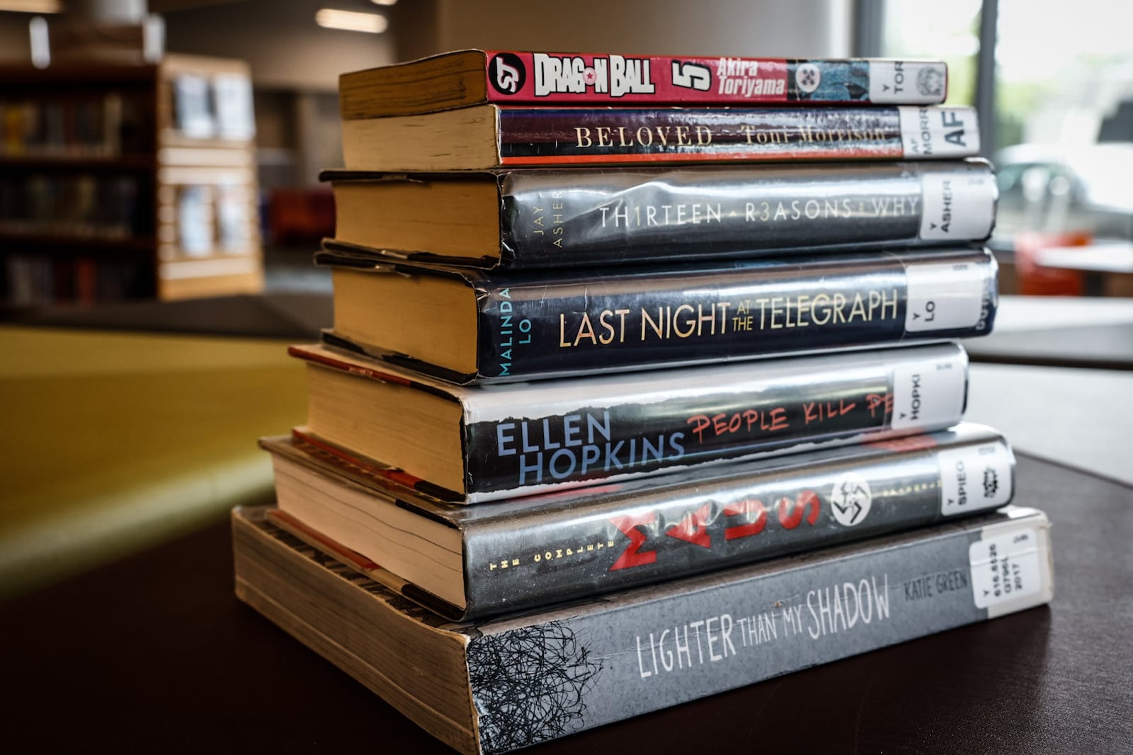 These books have been banned, or have had attempts to ban them in other states. The Dayton Metro Library has been declared a book sanctuary to collect and protect endangered books. JIM NOELKER/STAFF