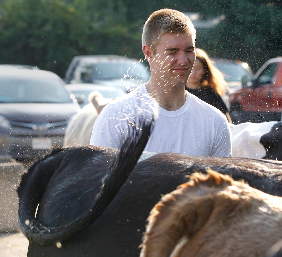 PHOTOS: What we saw at the 2019 Greene County fair