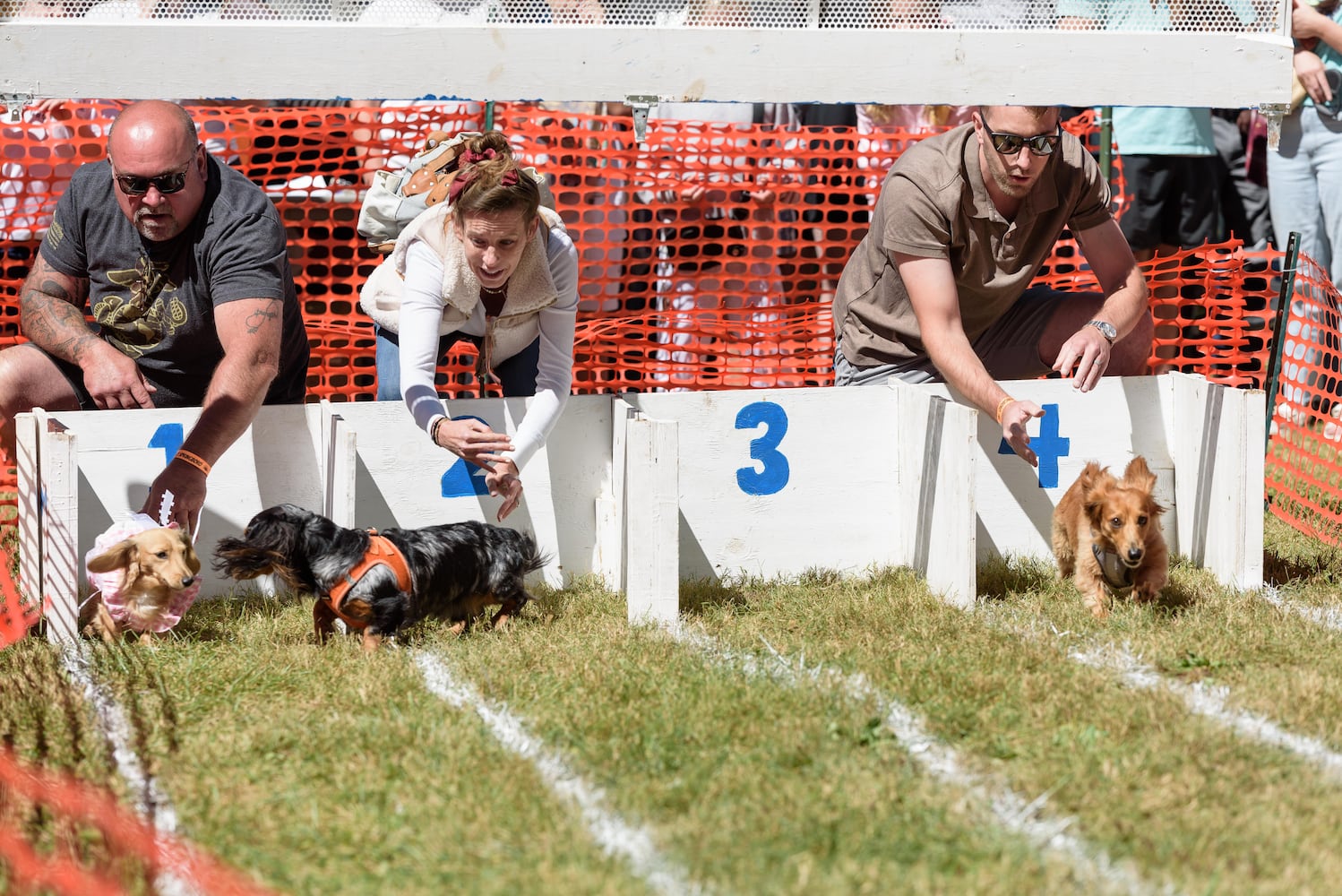 PHOTOS: 2024 Oktoberfest Springboro