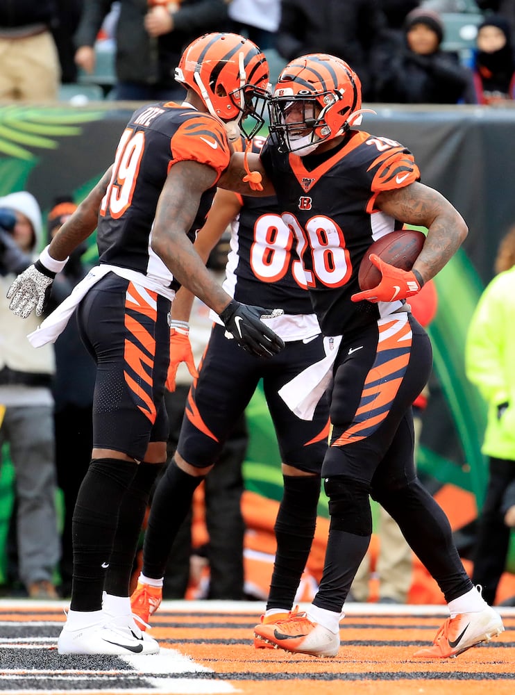 Bengals gallery