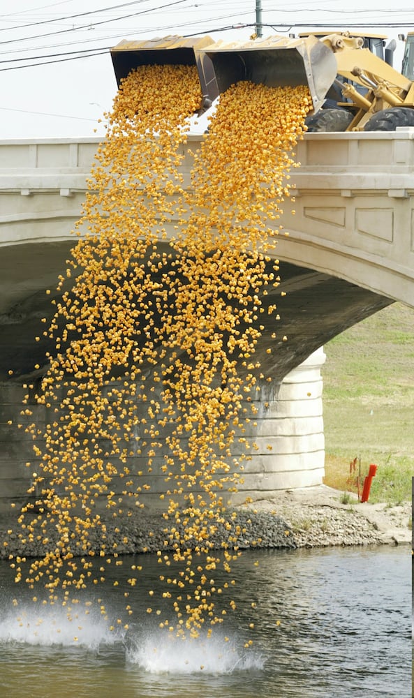 Rubber Duck Regatta history