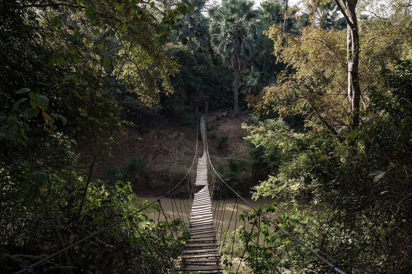 A dilapidated bridge hangs at Niokolo Koba National Park, Senegal on Tuesday, Jan. 14, 2025. (AP Photo/Annika Hammerschlag)