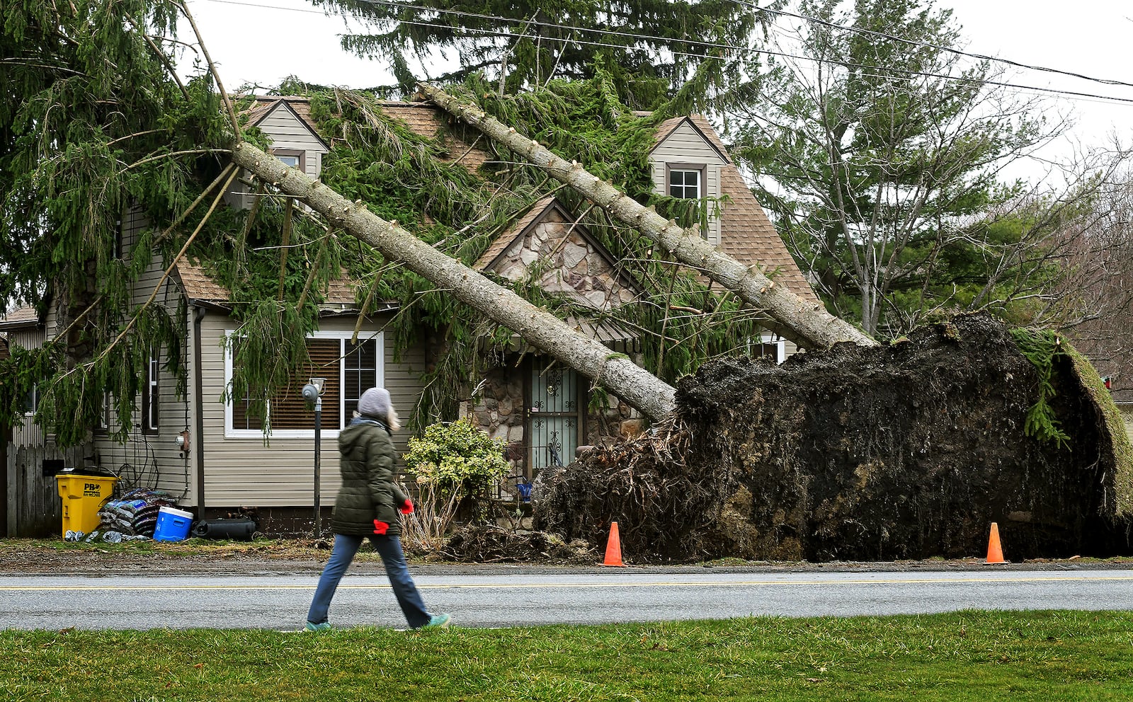 Strong winds knock down a group of pine trees in Richland Township, Pa. Monday, March 17, 2025, during a severe thunderstorm that swept through the region Sunday. (Thomas Slusser/The Tribune-Democrat via AP)