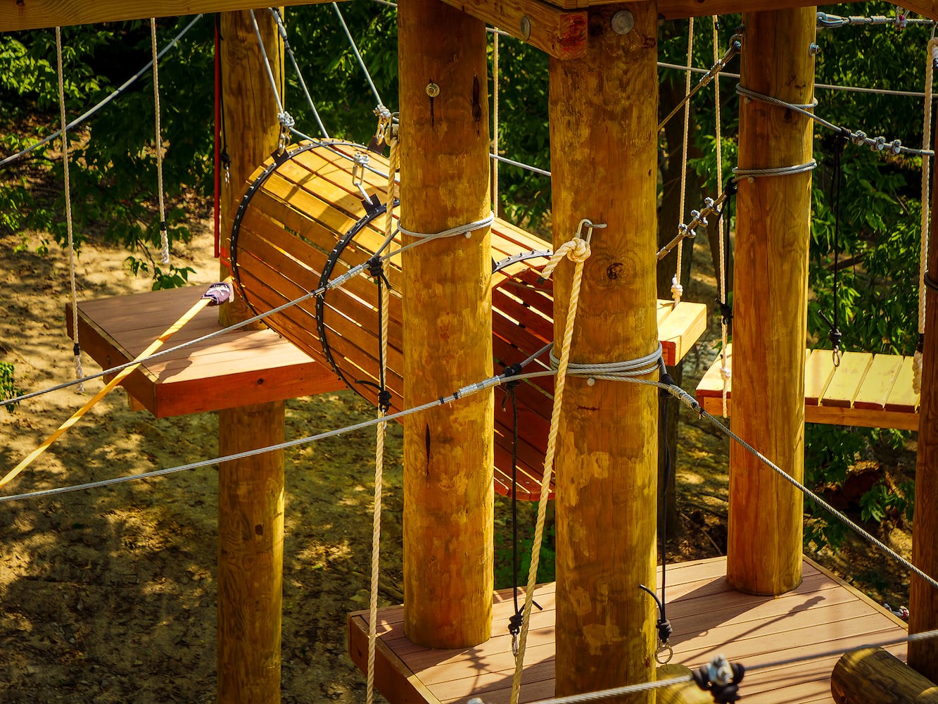 PHOTOS: Cincinnati Zoo’s new aerial adventure course will test your climbing skills