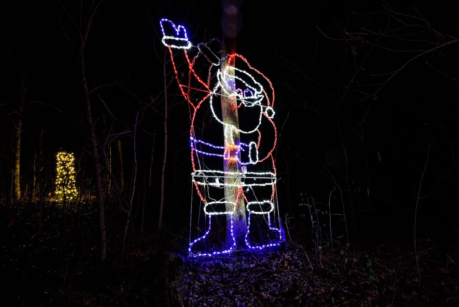 PHOTOS: 2024 Holiday Lights at Lost Creek Reserve in Troy