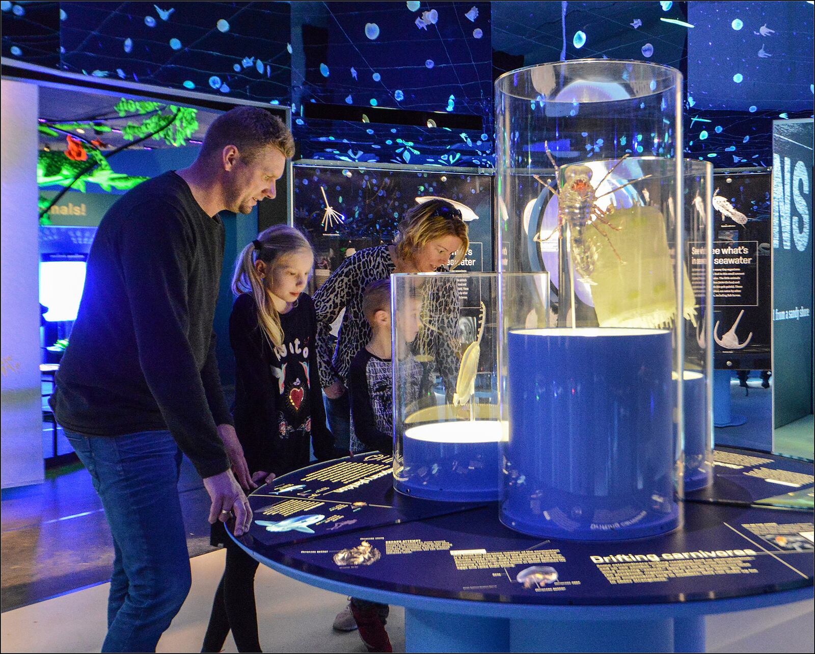 The oceansâ sunlit zone is inhabited by plankton, organisms that sustain nearly all marine life. Despite their small size, planktonic forms are remarkably diverse. Here, visitors to "Unseen Oceans" inspect larger-than-life models of unusual and beautiful planktonic species. Â©AMNH/R. Mickens