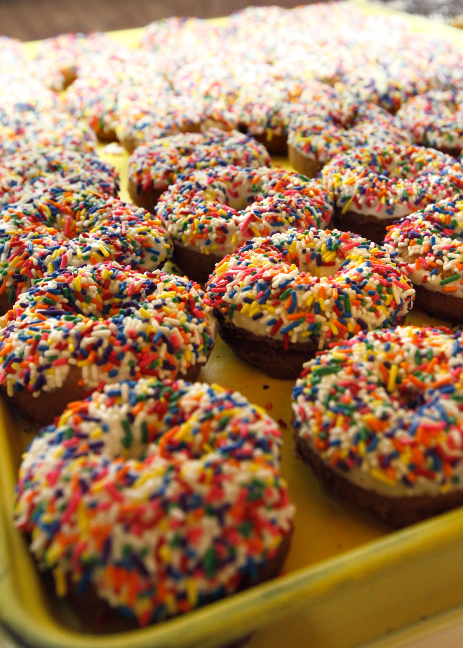 Bill's Donut Shop sprinkled doughnuts ready for customers on Wednesday, February 27, 2013 in Centerville.    TY GREENLEES / STAFF