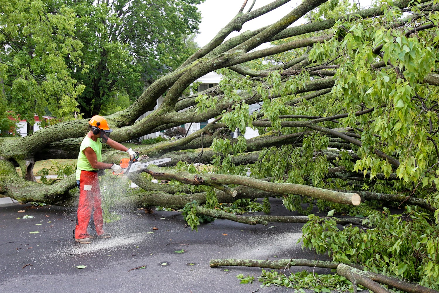 Photos showing damage of June 2012 derecho