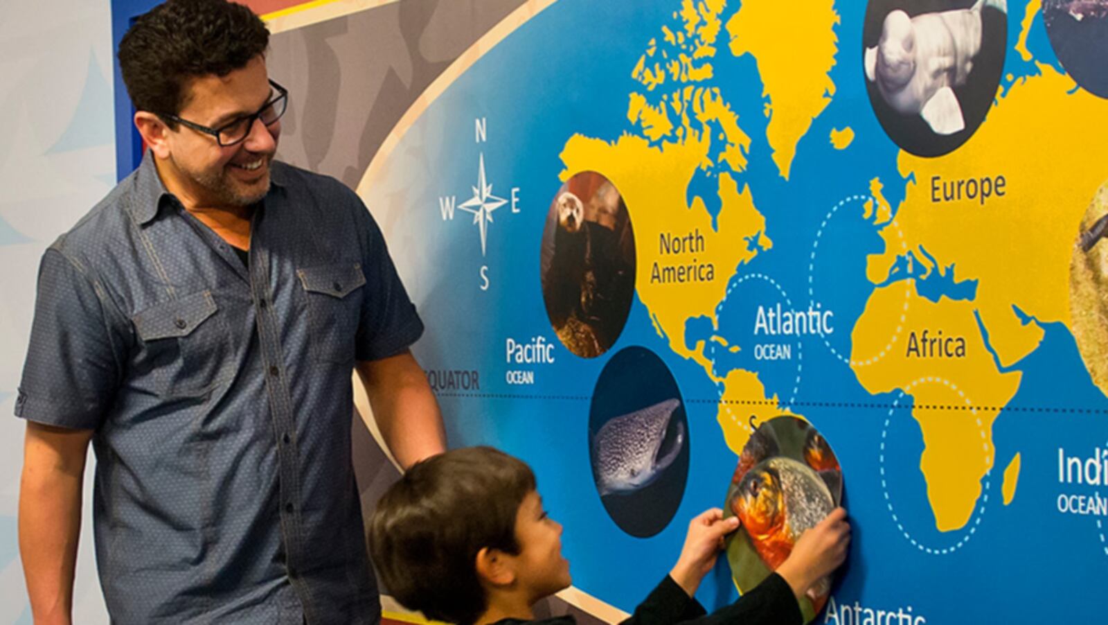 Participants have the chance to be certified as a Georgia Aquarium Aquanaut or Aquarium Scientist at the Aquanaut Adventure.