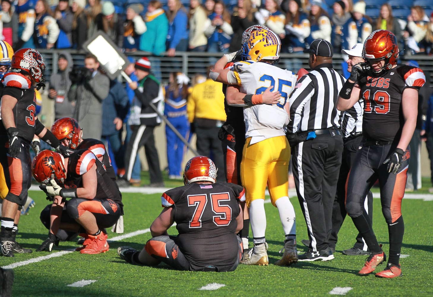 PHOTOS: Marion Local wins state football championship