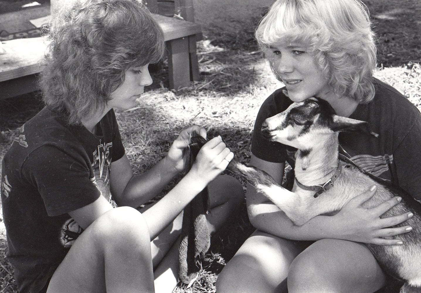 Greene County Fair through the years