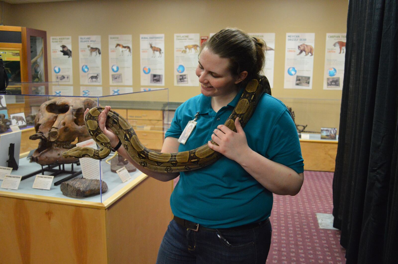 Stephanie Hylinski, curator of live animals at the Boonshoft Museum of Discovery, and a new red-tailed boa. BOONSHOFT   MUSEUM OF DISCOVERY