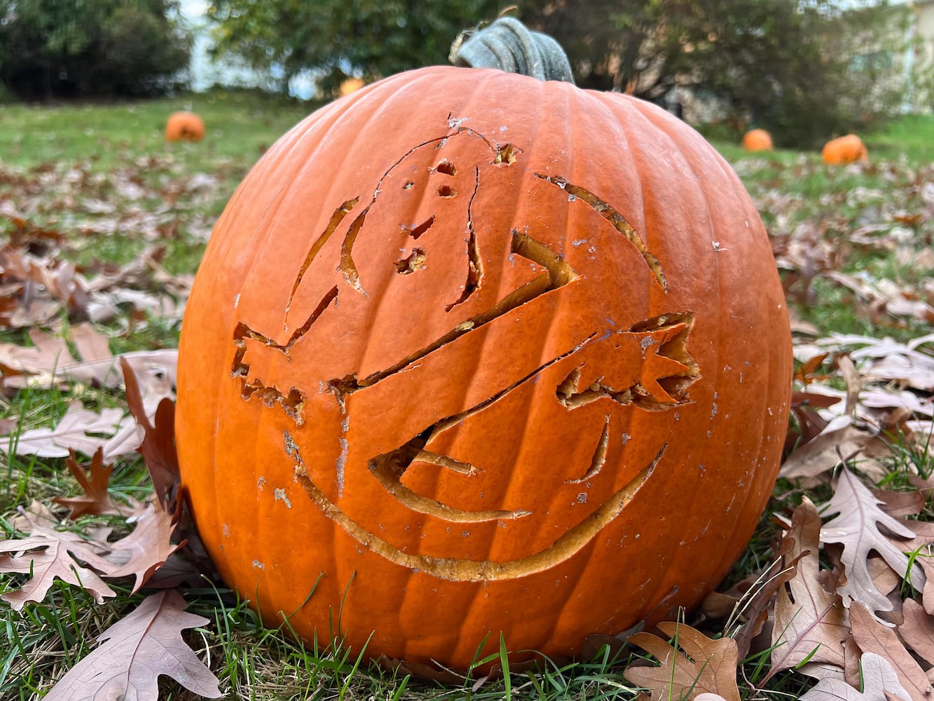 PHOTOS: The Stoddard Avenue Pumpkin Glow Night 1