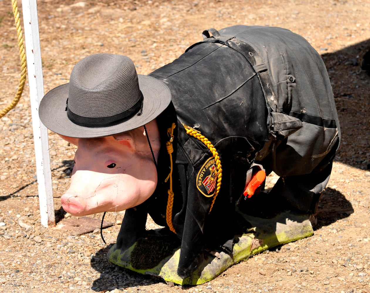 PHOTOS: Did we spot you at the Preble County Pork Festival?