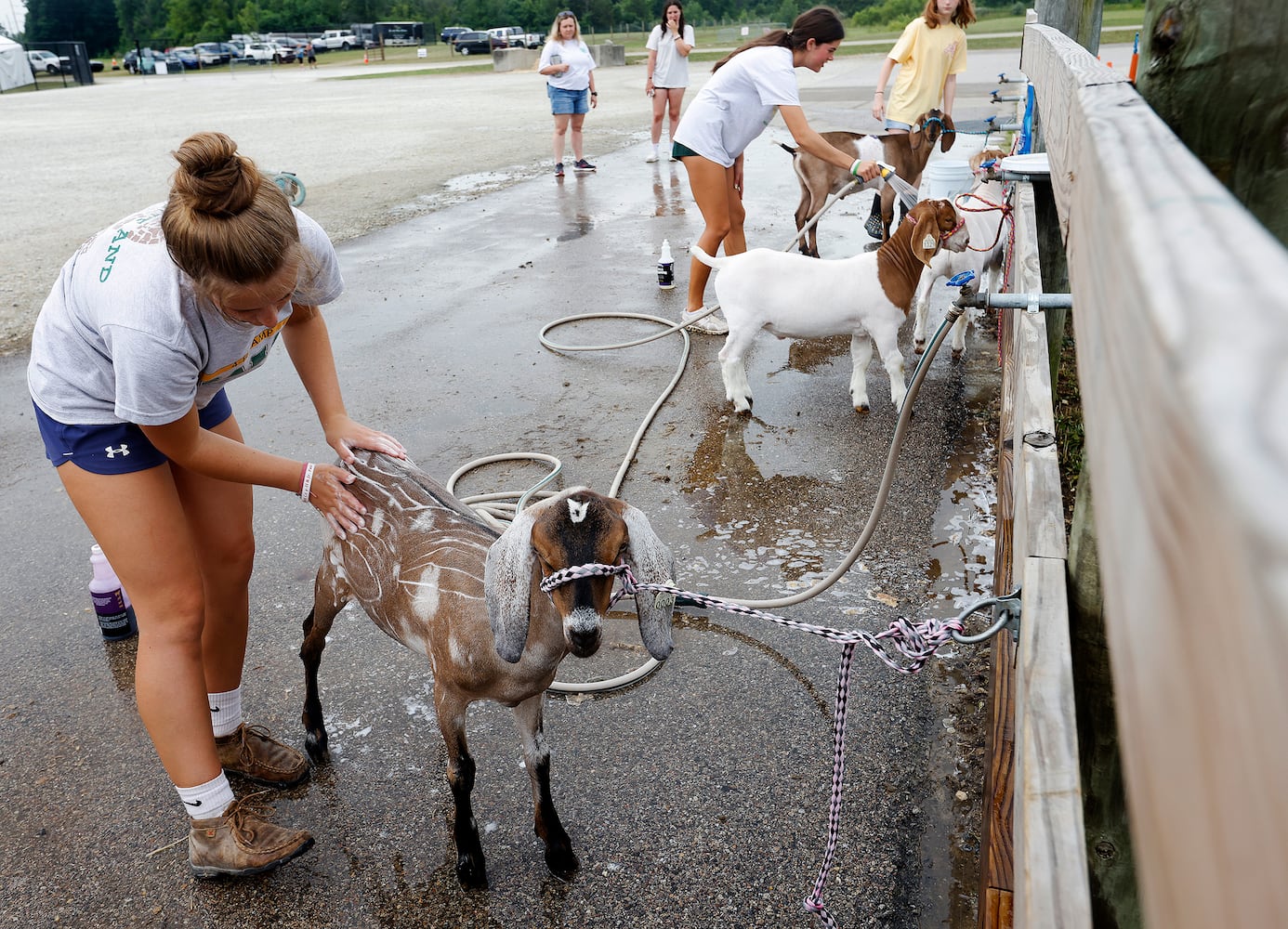 Montgomery County Fair