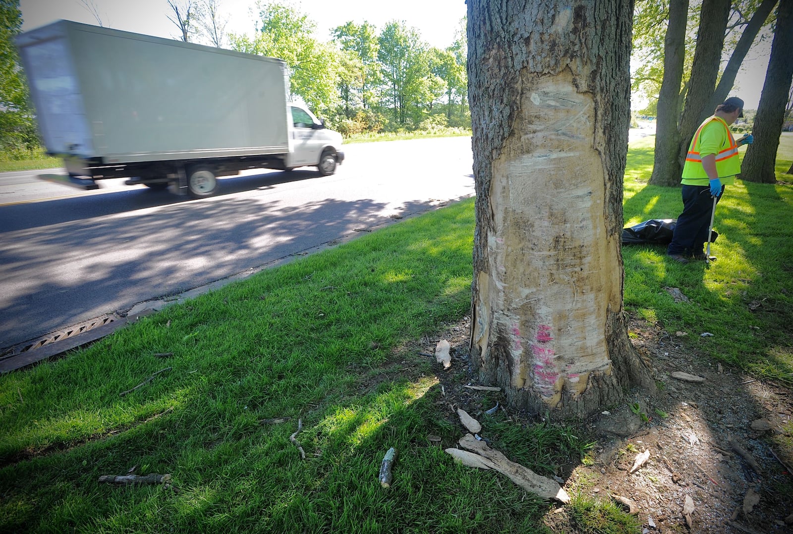 Crews clean up around tree along Airway Drive where three juveniles were killed in a crash on Wednesday, May 12, 2021. MARSHALL GORBY\STAFF