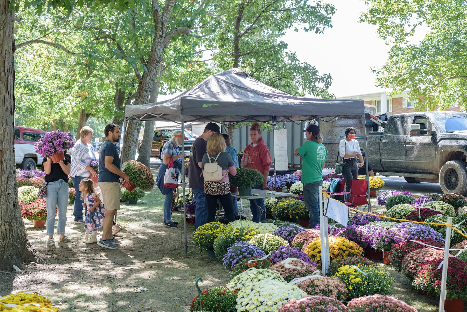 The Tipp City Mum Festival at City Park. TOM GILLIAM / CONTRIBUTING PHOTOGRAPHER