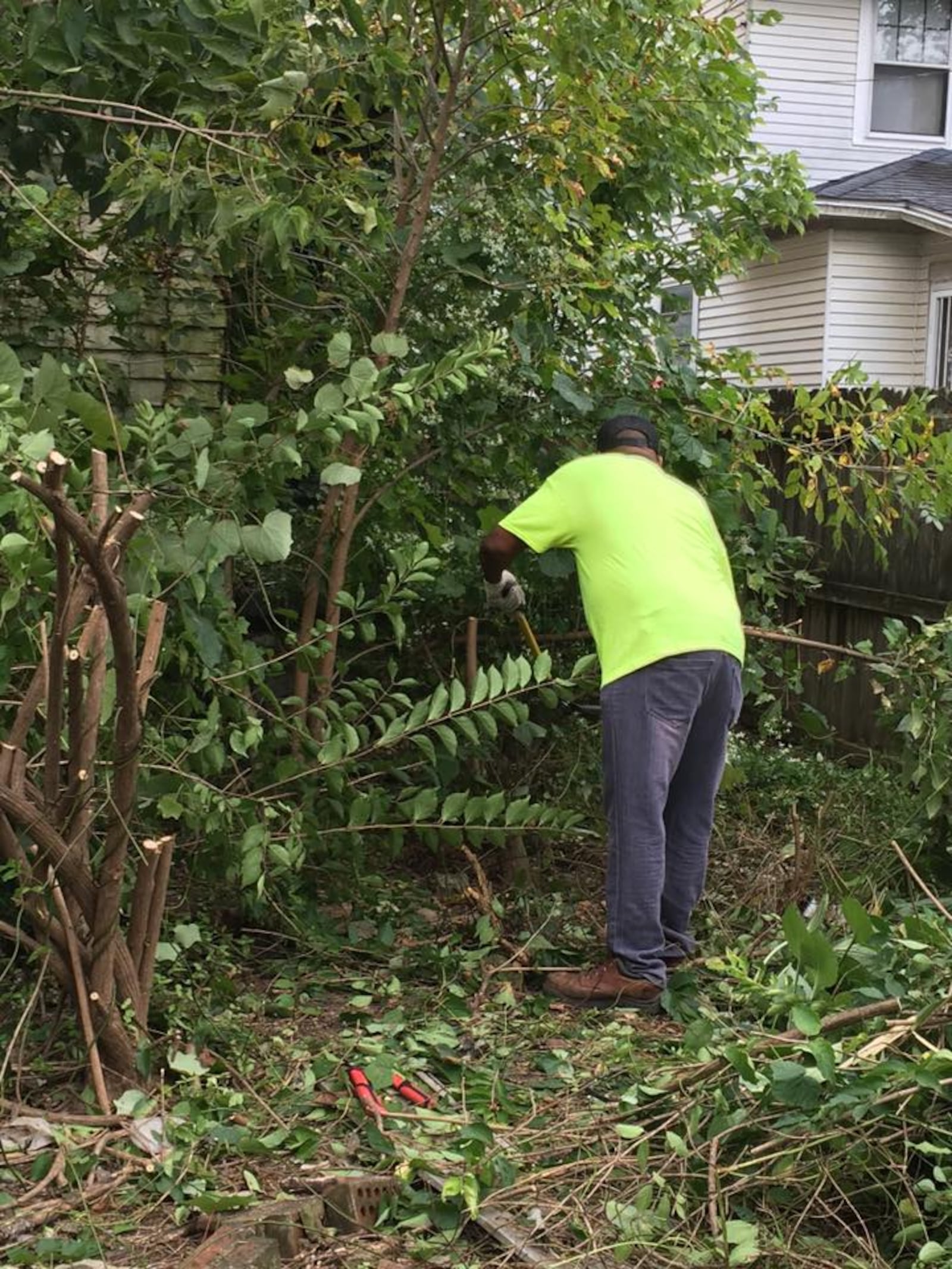 A volunteer with Dayton Blight helps trim bushes on a blighted property. (CONTRIBUTED)