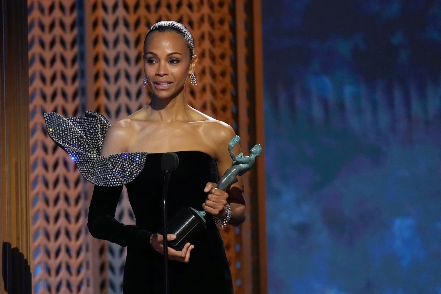 31st Annual SAG Awards - Show