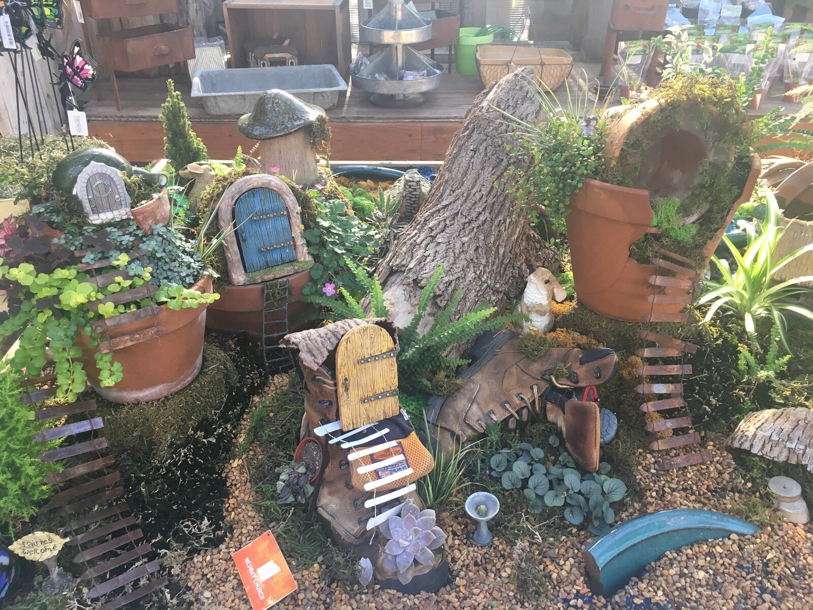 Meadow View Growers in New Carlisle has an abundance of greenery, flowers, foliage and decor to transform your garden or yard into a beautiful outdoor oasis.