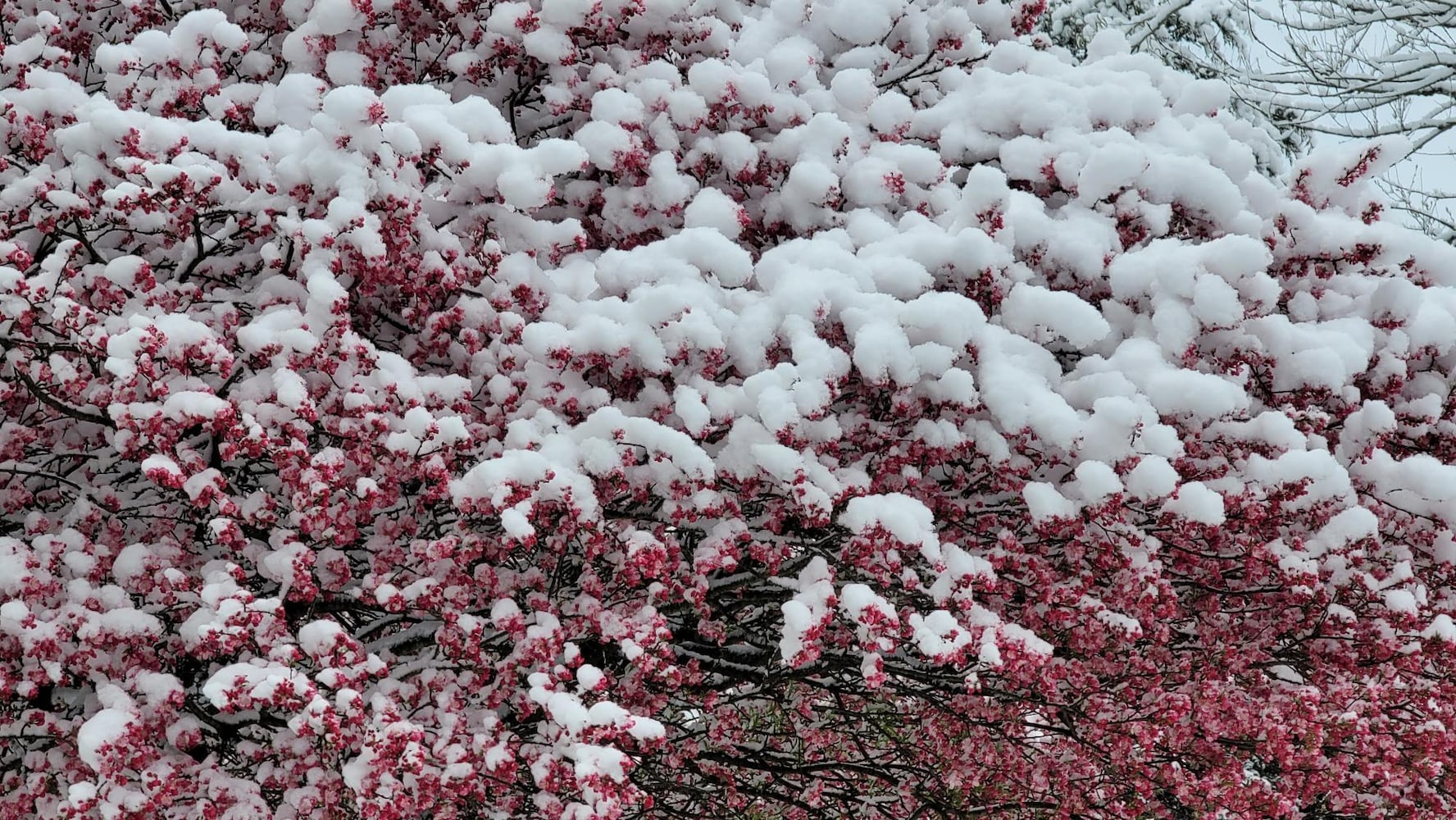 Snow in Butler County