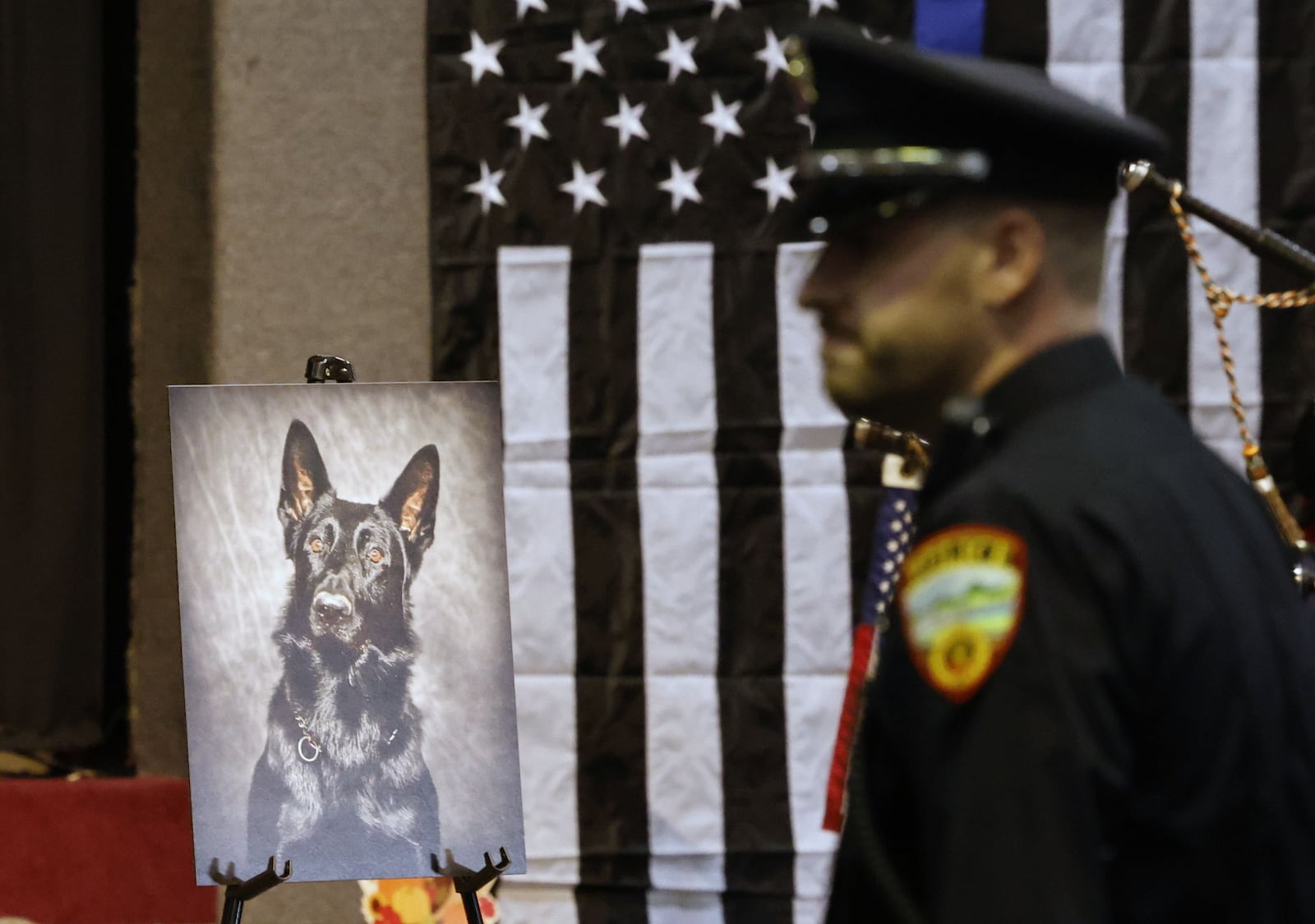 A memorial service was held for Franklin Police K9, Fury, Thursday, Nov. 16, 2023 at New Vine Community Church. The ceremony was followed by a procession of Police  vehicles from multiple agencies through Franklin. Fury, a German shepherd, was killed when a wrong way driver struck his police cruiser. His handler, officer Alex Butler, and fellow officer Eric Miller had minor injuries. NICK GRAHAM/STAFF