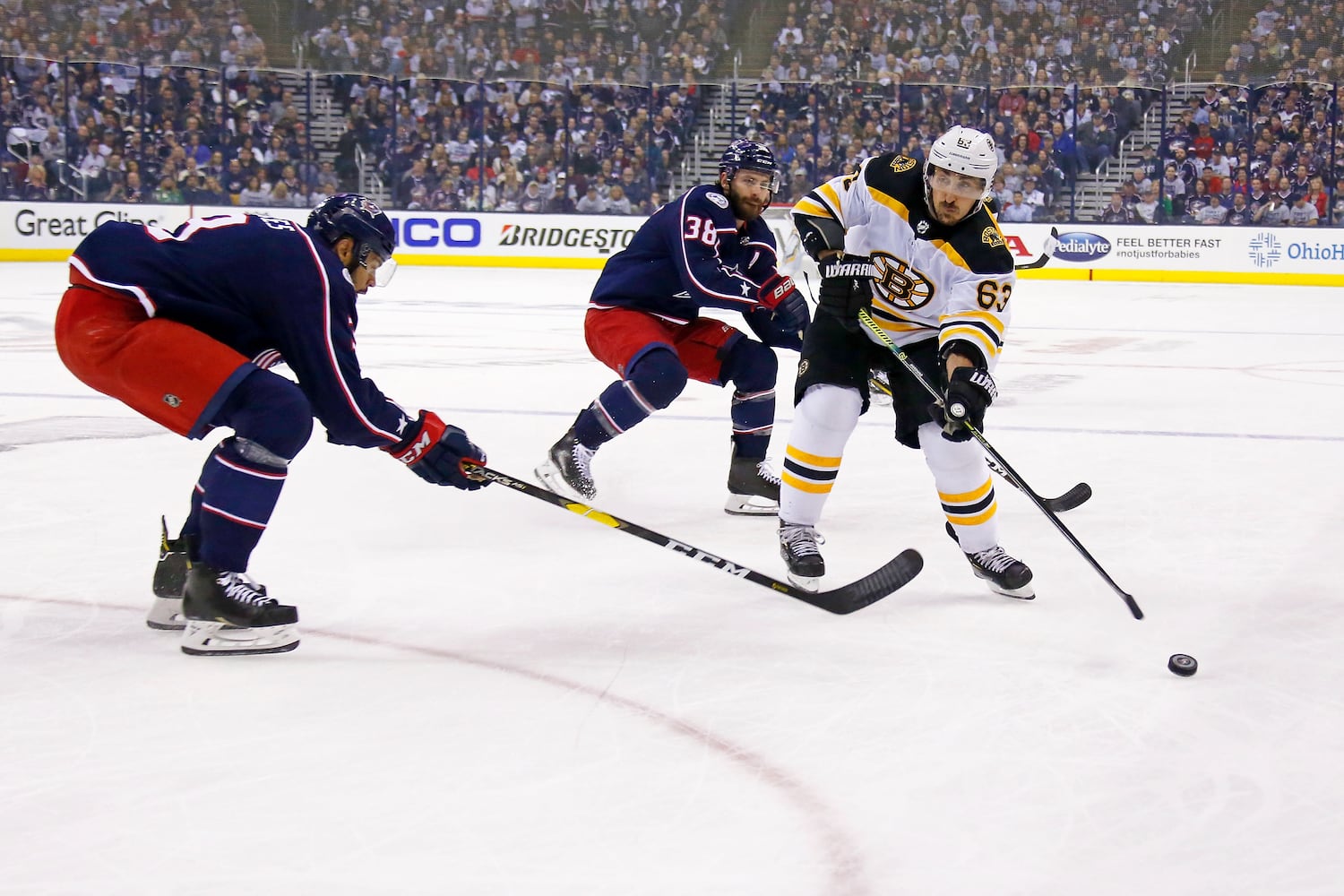 blue jackets bruins