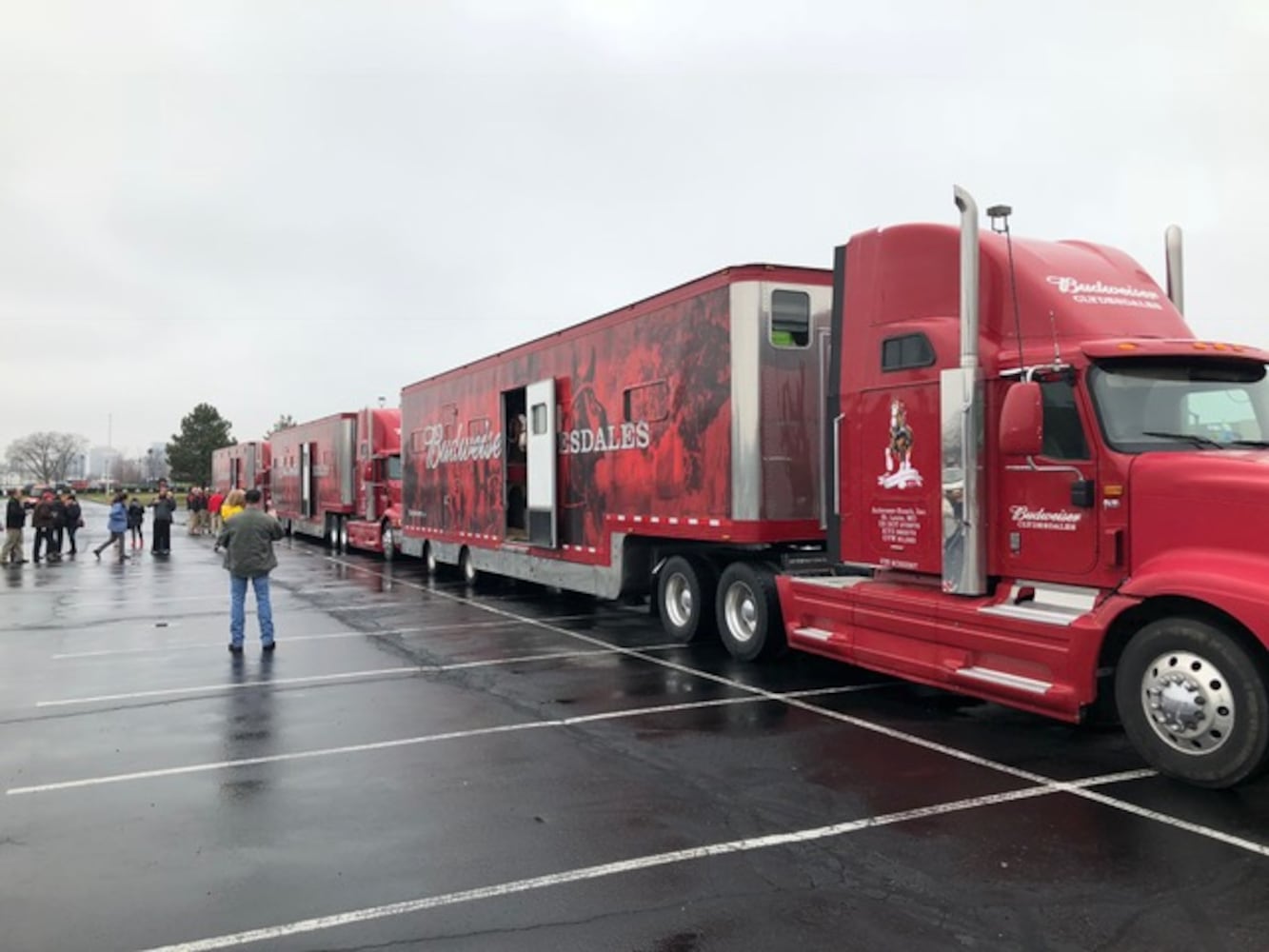 PHOTOS: The Budweiser Clydesdales are in Dayton