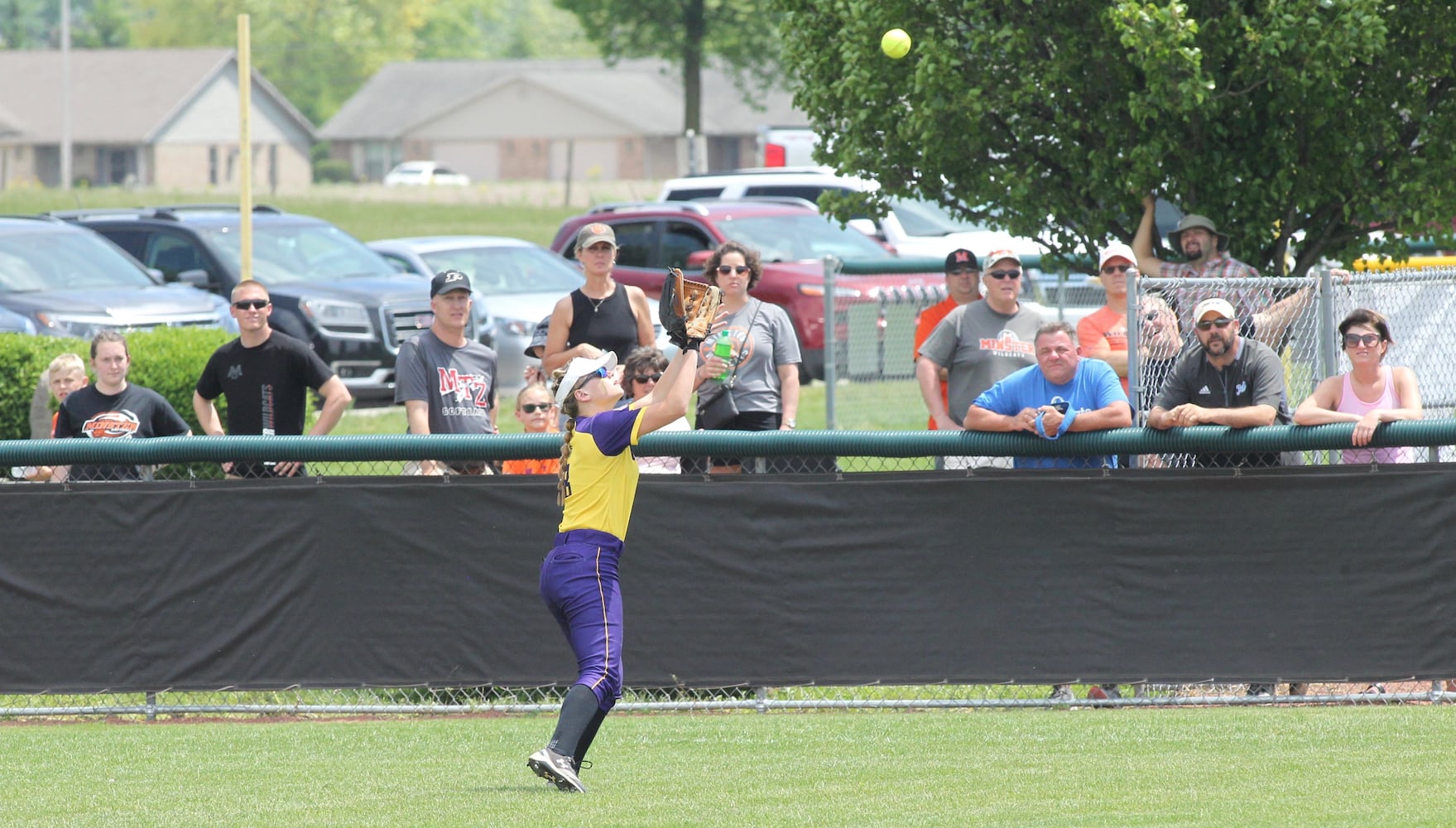 Photos: Mechanicsburg beats Minster in D-IV softball regional final