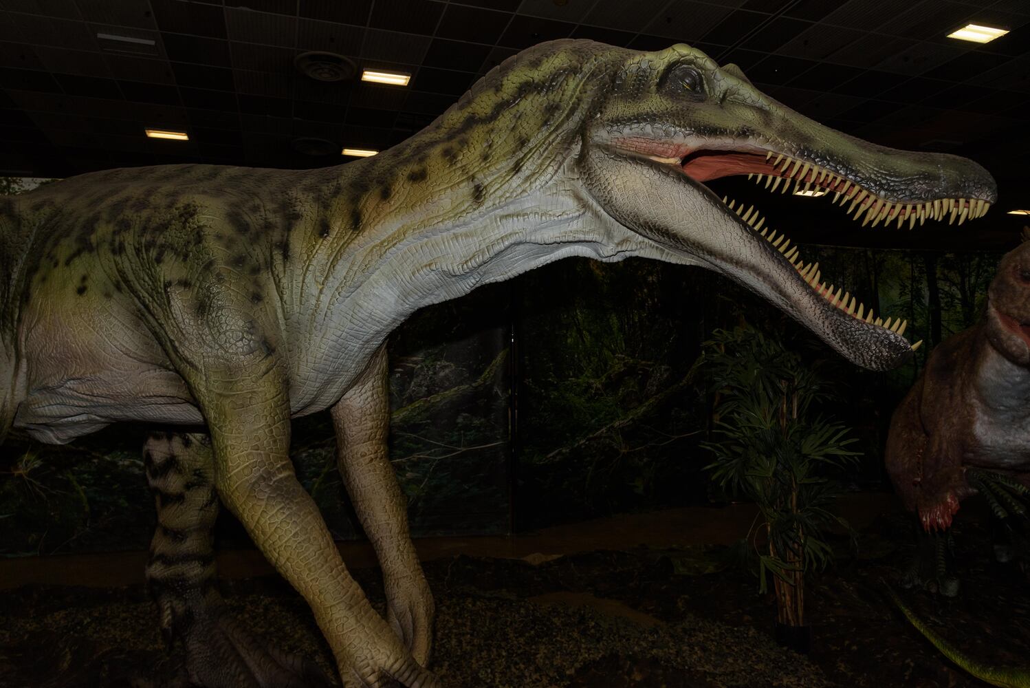 PHOTOS: Did we spot you hanging out with dinosaurs at Jurassic Quest at the Dayton Convention Center?