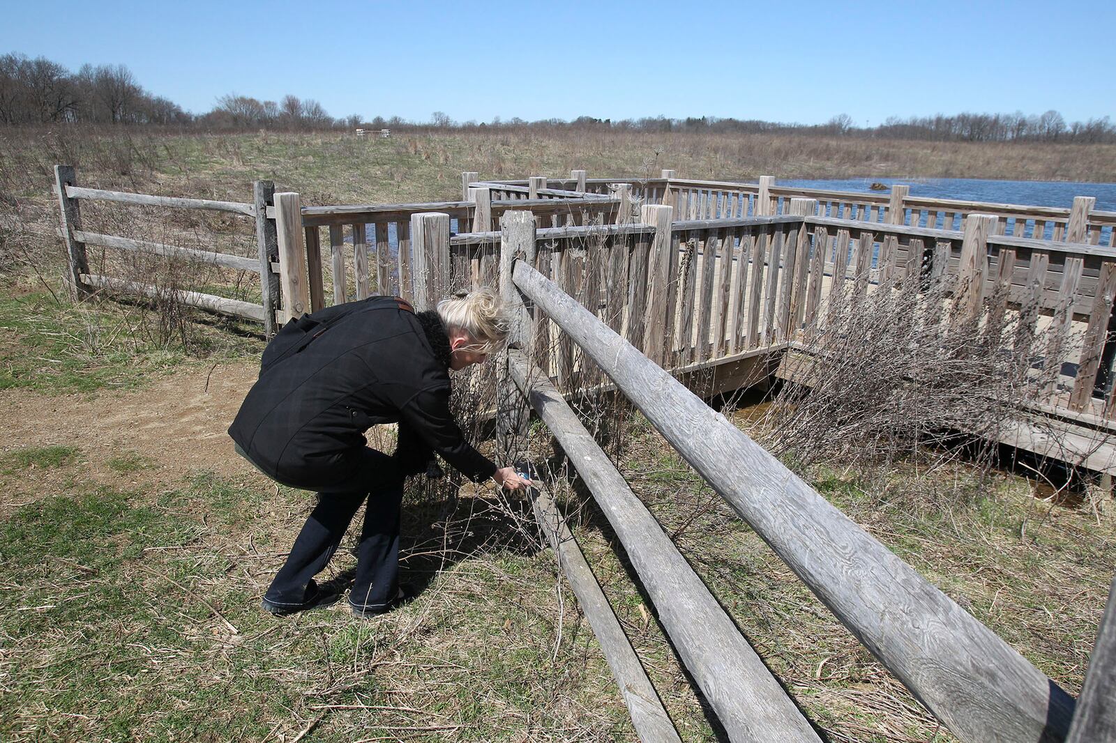 Sue Bauman places a painted rock at the Springfield Bog Metro Park on April 20, 2018, in Springfield Township, Ohio. (Karen Schiely/Akron Beacon Journal/TNS)