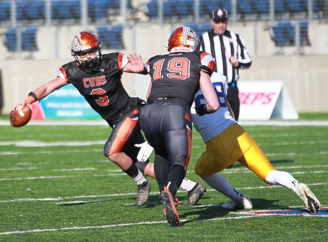 PHOTOS: Marion Local wins state football championship