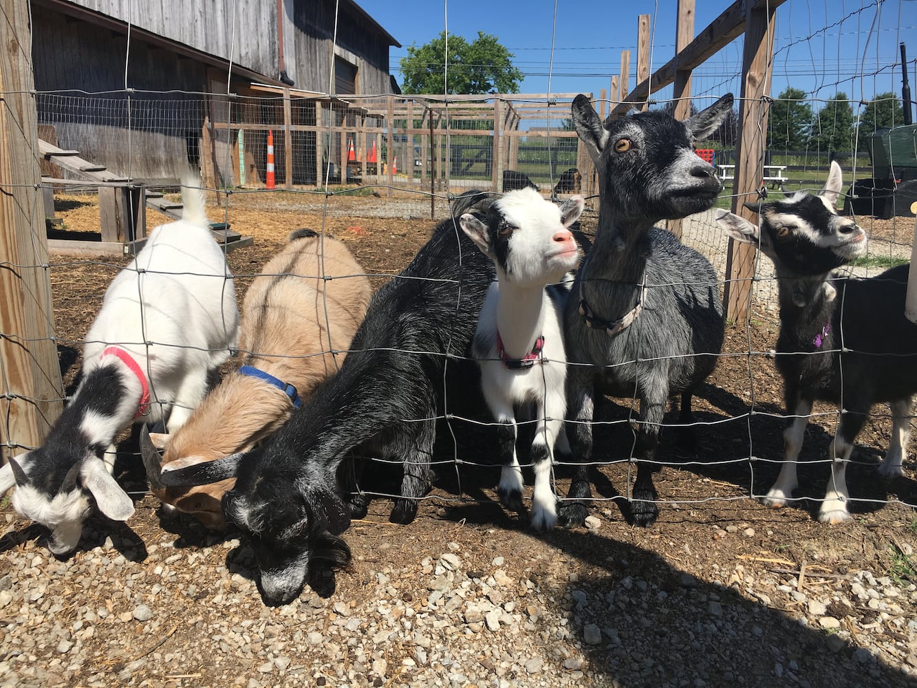 Hidden Valley Orchards