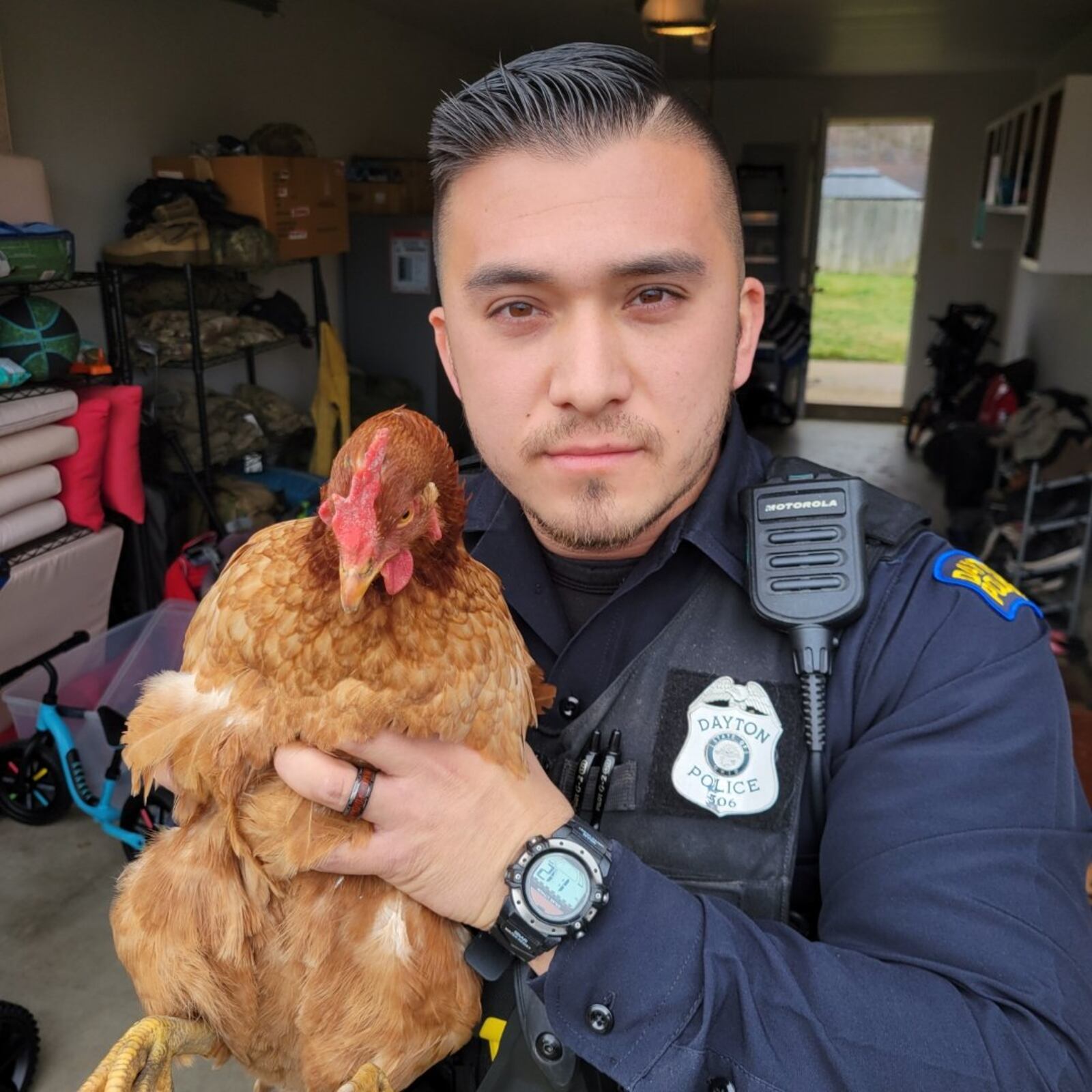 Dayton police officer Jordan Fader caught a chicken on New Year's Day that was loose and reportedly chasing a young girl on Virginia Avenue. CONTRIBUTED