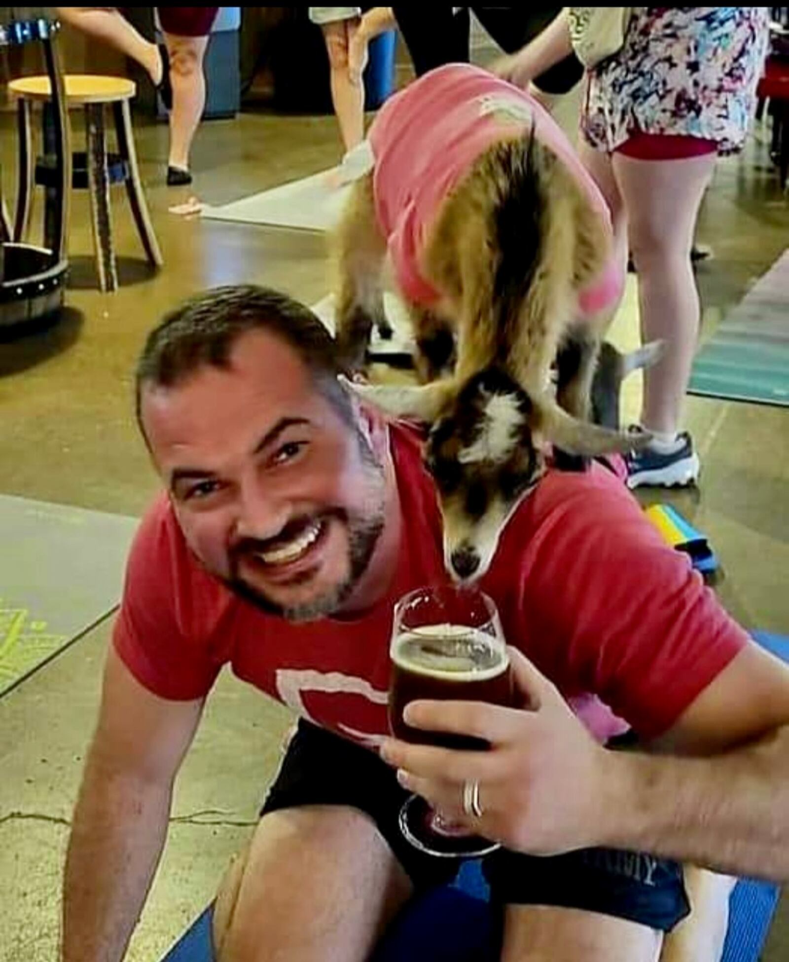 Bock Family Brewing and GoatCountry LLC will team up for Goat Yoga & a Pint on April 5. CONTRIBUTED