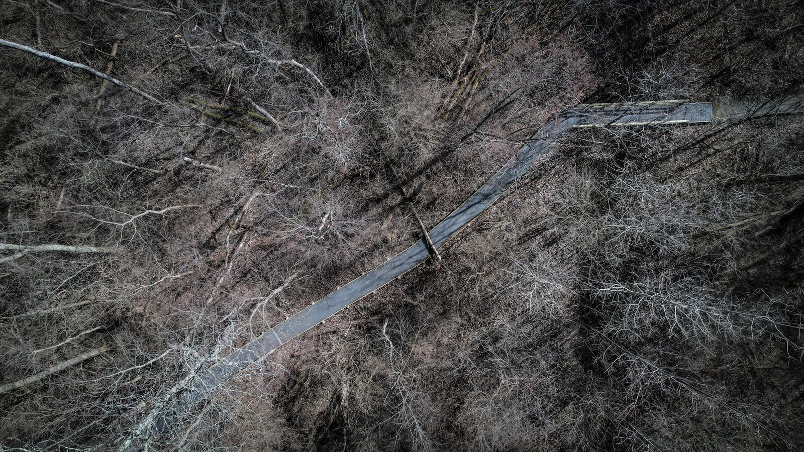 Trails run throughout the 9 acres of Garland Wetland Reserve in Fairborn. JIM NOELKER/STAFF